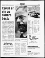 Síða 23