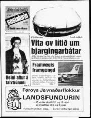 Síða 1