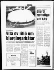 Síða 6