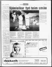 Síða 11