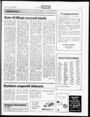 Síða 13