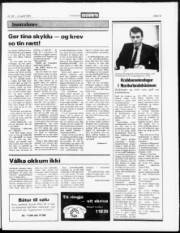 Síða 13