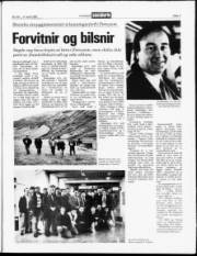 Síða 3
