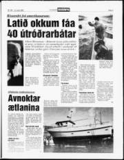 Síða 5