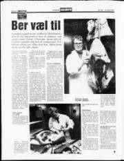 Síða 12