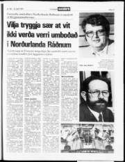 Síða 17