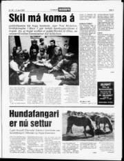 Síða 3