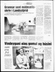 Síða 4