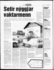 Síða 6