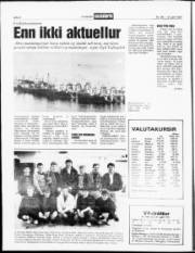Síða 8