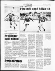 Síða 10