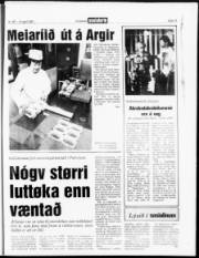 Síða 15