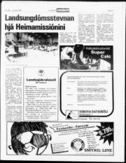 Síða 17