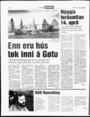 Síða 6