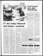 Síða 13