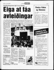 Síða 3