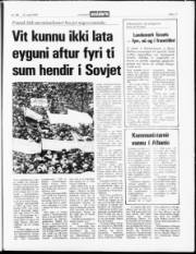 Síða 17