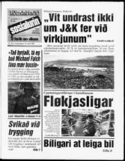 Síða 1