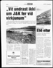 Síða 6