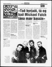 Síða 11