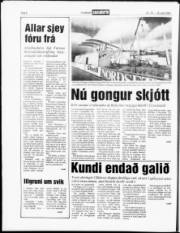 Síða 6