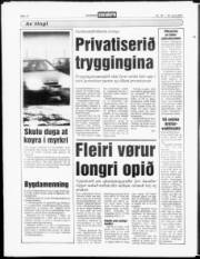 Síða 12
