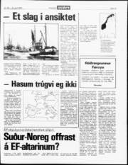 Síða 15