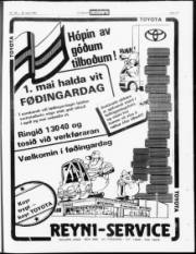 Síða 17