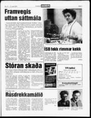 Síða 3