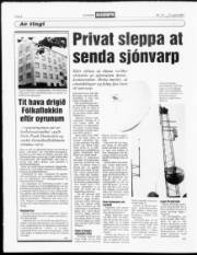 Síða 8