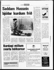Síða 11