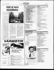 Síða 15