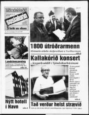 Síða 1