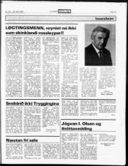 Síða 13