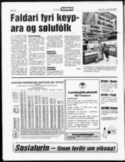 Síða 14
