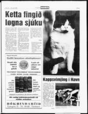 Síða 5