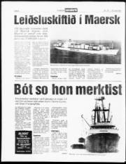 Síða 6