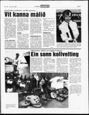 Síða 7