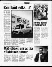 Síða 3