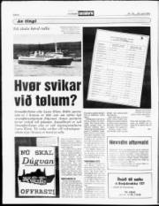 Síða 8