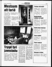 Síða 3