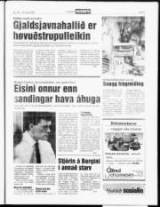 Síða 5