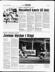 Síða 11