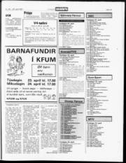 Síða 19