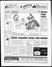 Síða 20