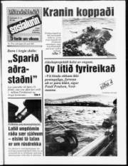 Síða 1