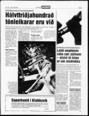 Síða 3