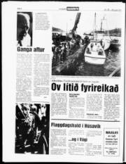 Síða 4