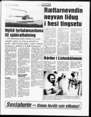 Síða 5
