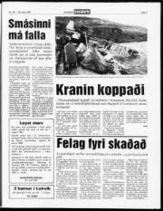 Síða 7